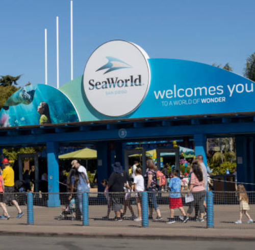 Add your image here (2)