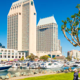 Add your image here (3)